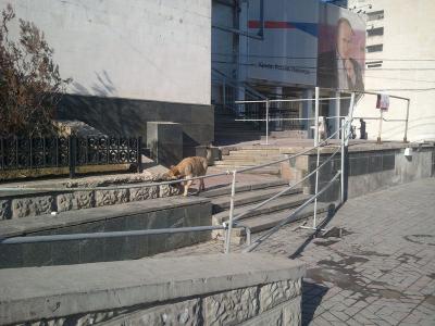 Прикрепленное изображение: 2016-02-07 14.29.22.jpg